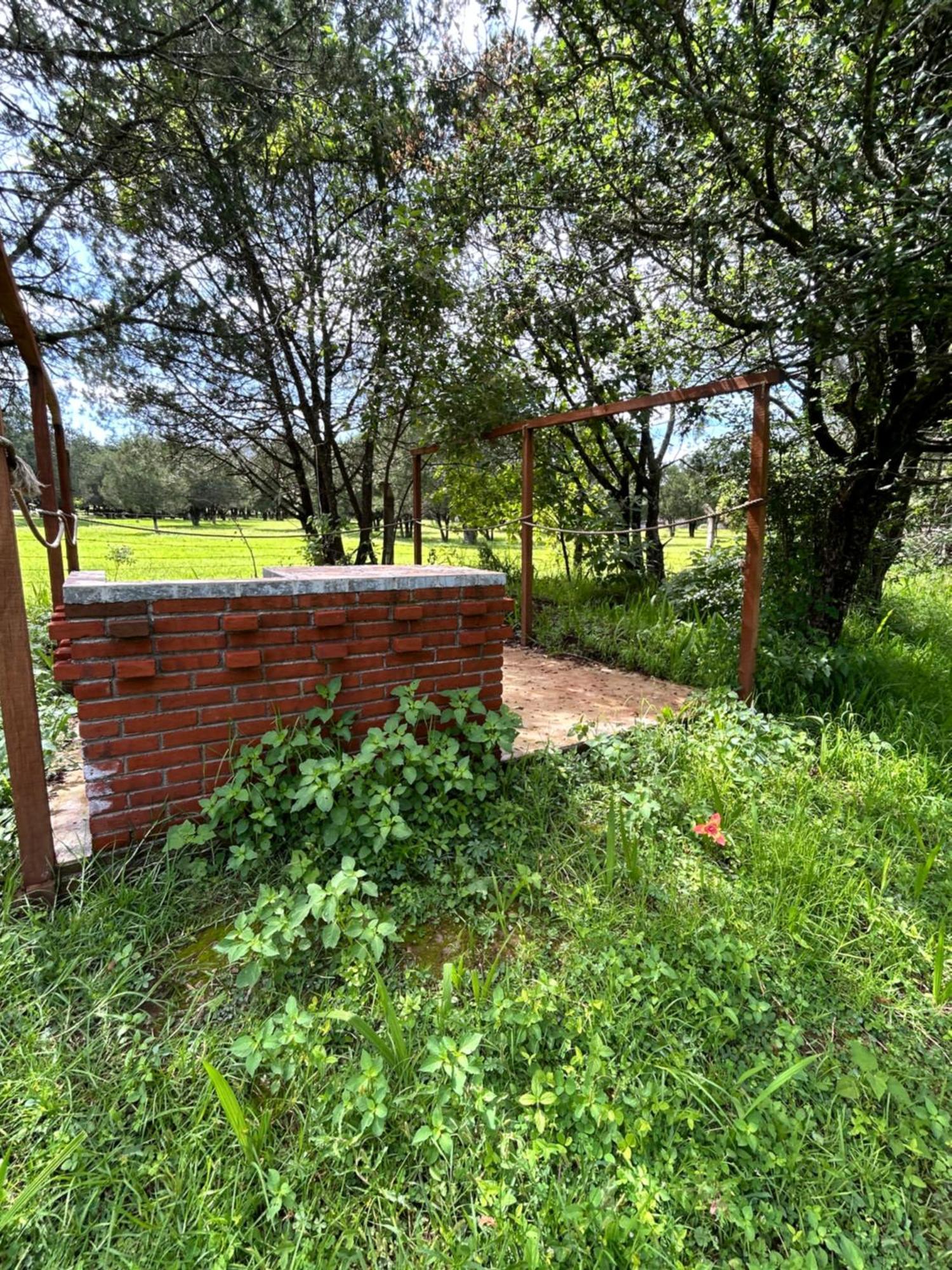 Cabanas La Victoria By Gestores Huasca de Ocampo Exterior foto